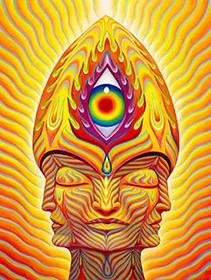 Sol-Invuctus Print Buy Alex Grey